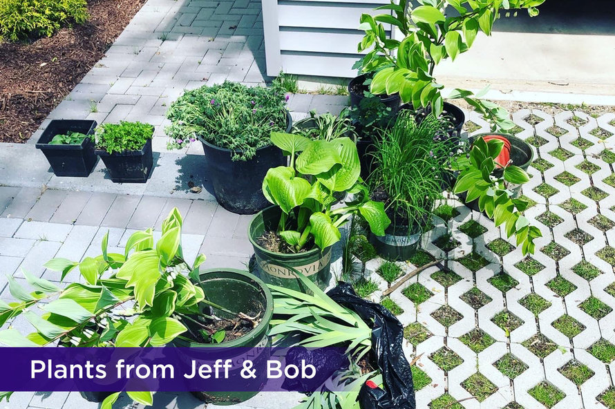 Jeffbobplantsresized